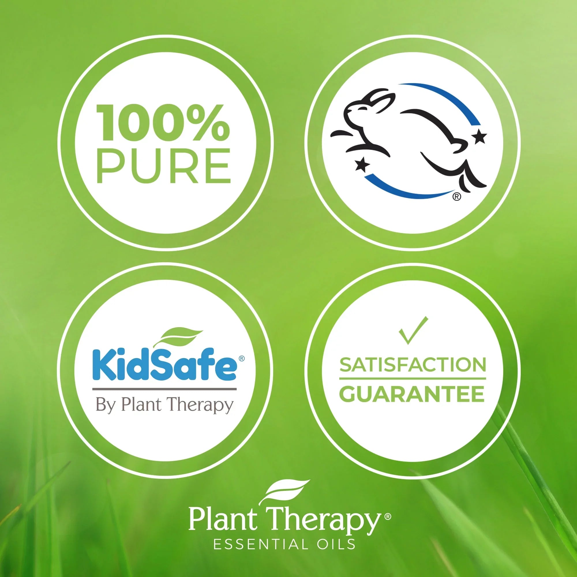 Plant Therapy Sea Fennel Essential Oil 5 mL (1/6 oz) 100% Pure, Undiluted, Therapeutic Grade