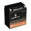 Chrome Battery Ytx16l-bs (16l-bs 12 Volts,14 Ah, 230 Cca) Jet Ski Battery for Kawasaki Js650 Sx 1988