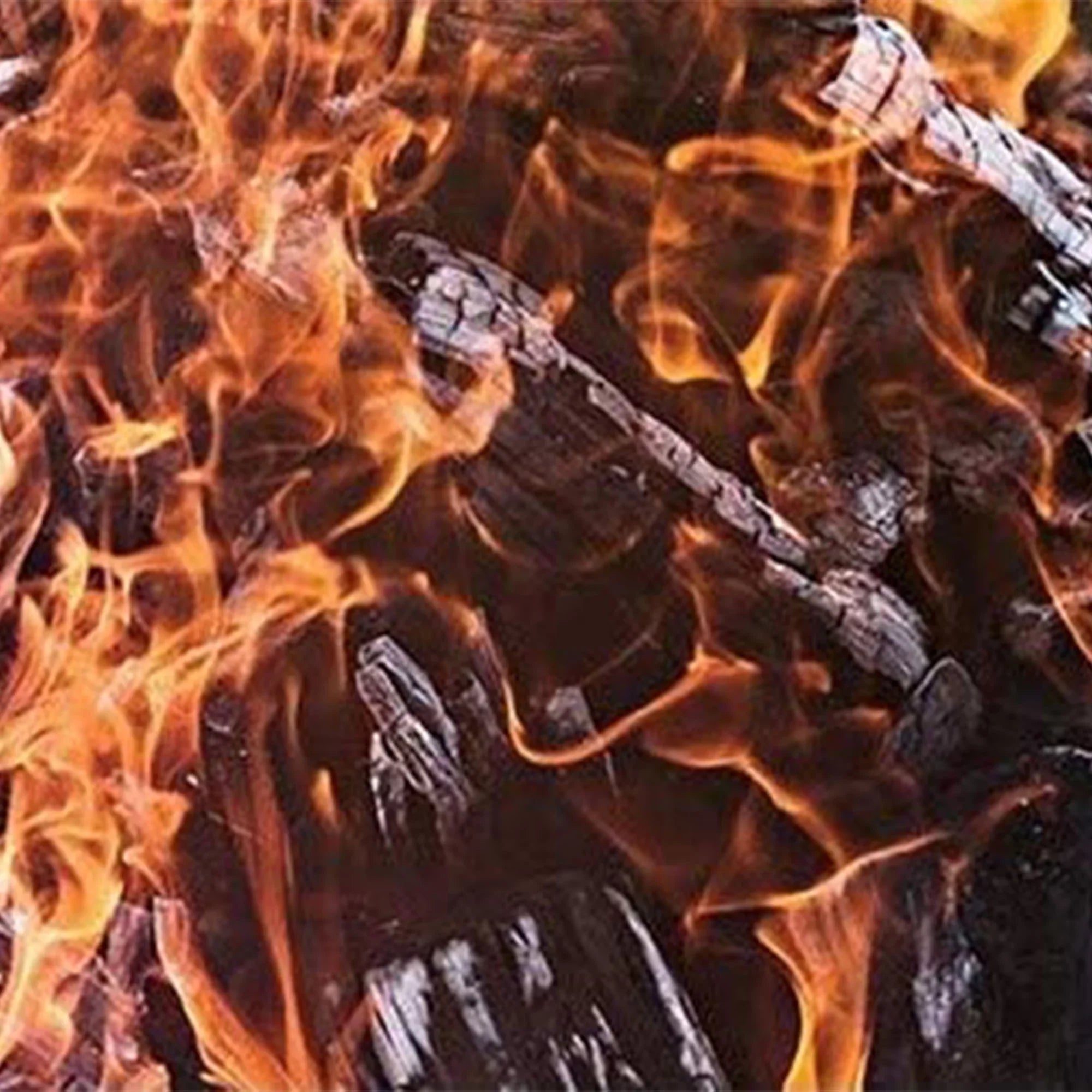 Smoak Firewood 8" Kiln Dried Cooking Grade Wood Mini Logs, Oak, 25-30lbs