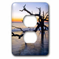 3dRose , Georgia. Jekyll Island, tree, ocean - 2 Plug Outlet Cover (lsp_278900_6)