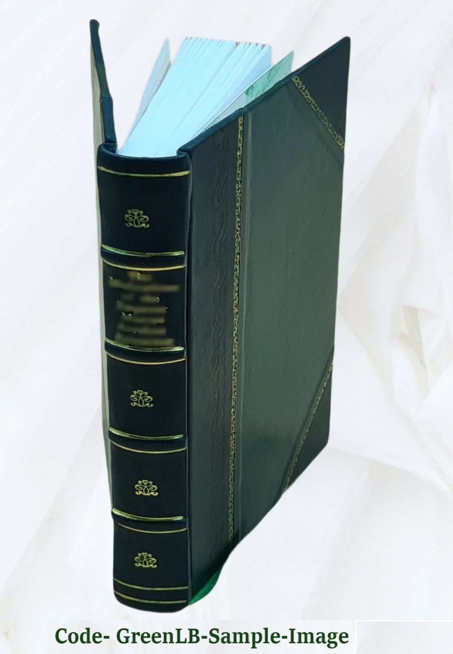 The brazen mask : a romance / by Charlotte Putney. Volume v.3 1826 [Leather Bound]