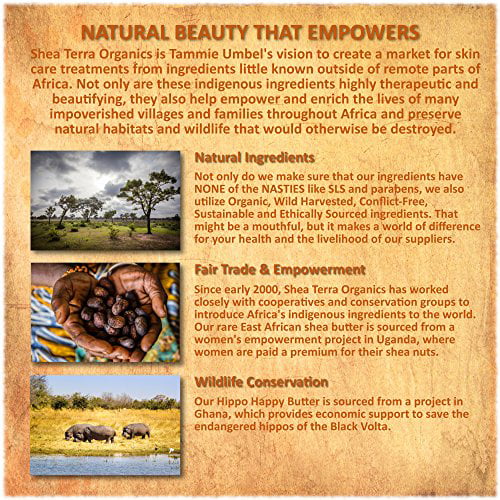 Shea Terra Organics Argan & Rosemary Cleansing Oil | Deep Pore Treatment, Bacteria Remover, Vitamin  Oil | All Skin Types - 4 oz