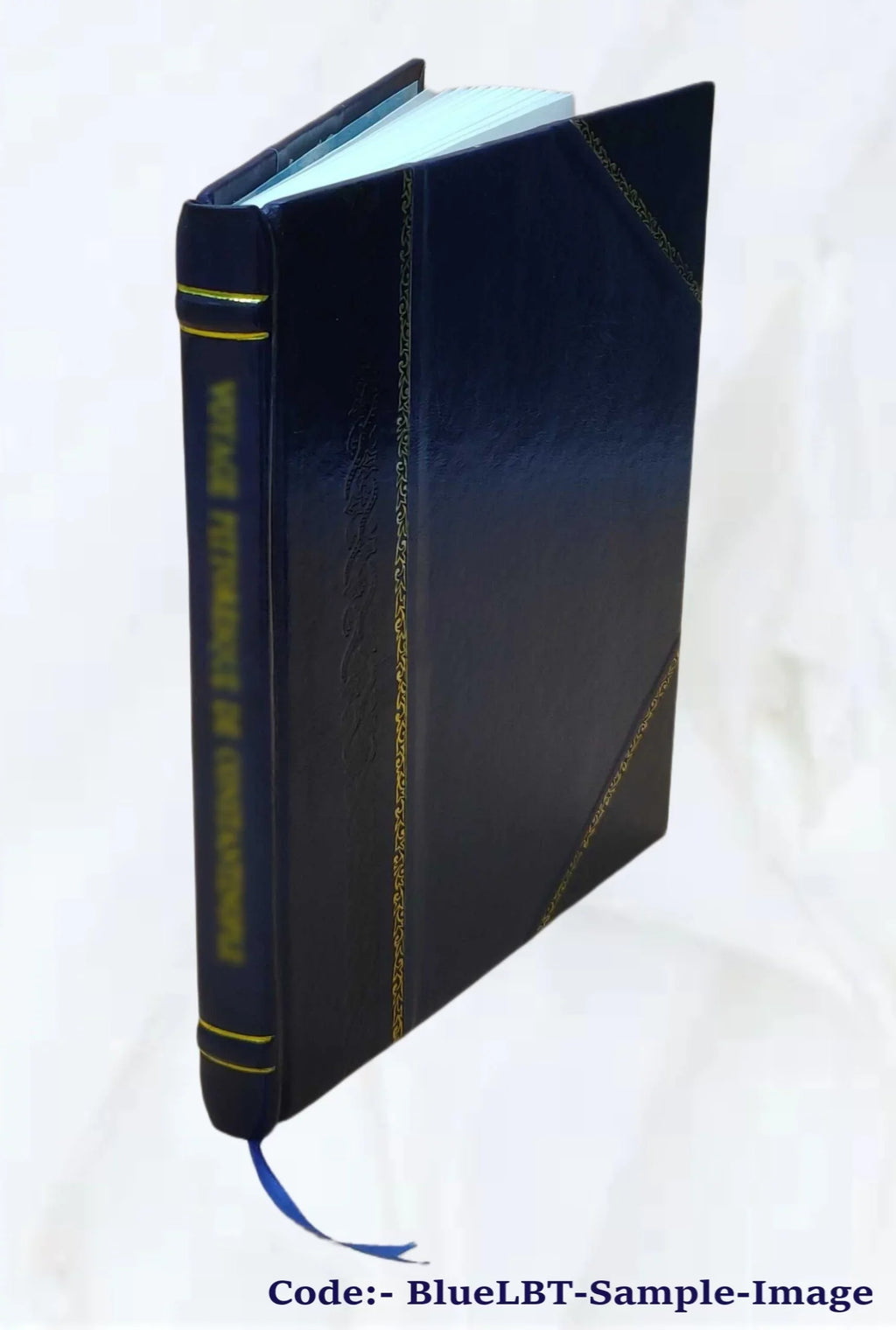 Some Chinese ghosts. By Lafcadio Hearn. 1887 [Leather Bound]