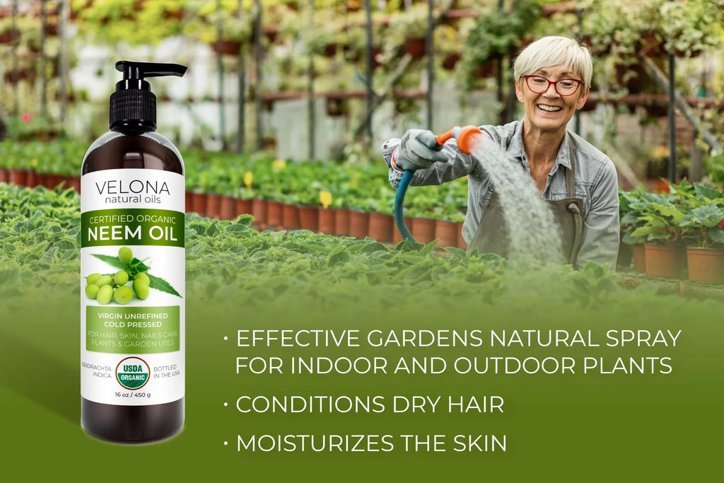 Velona Neem Oil  Certified Organic - 24 oz | 100% Pure and Natural Carrier Oil | Virgin, Unrefined, Cold Pressed | Hair, Body and Skin Care | Use Today - Enjoy Results