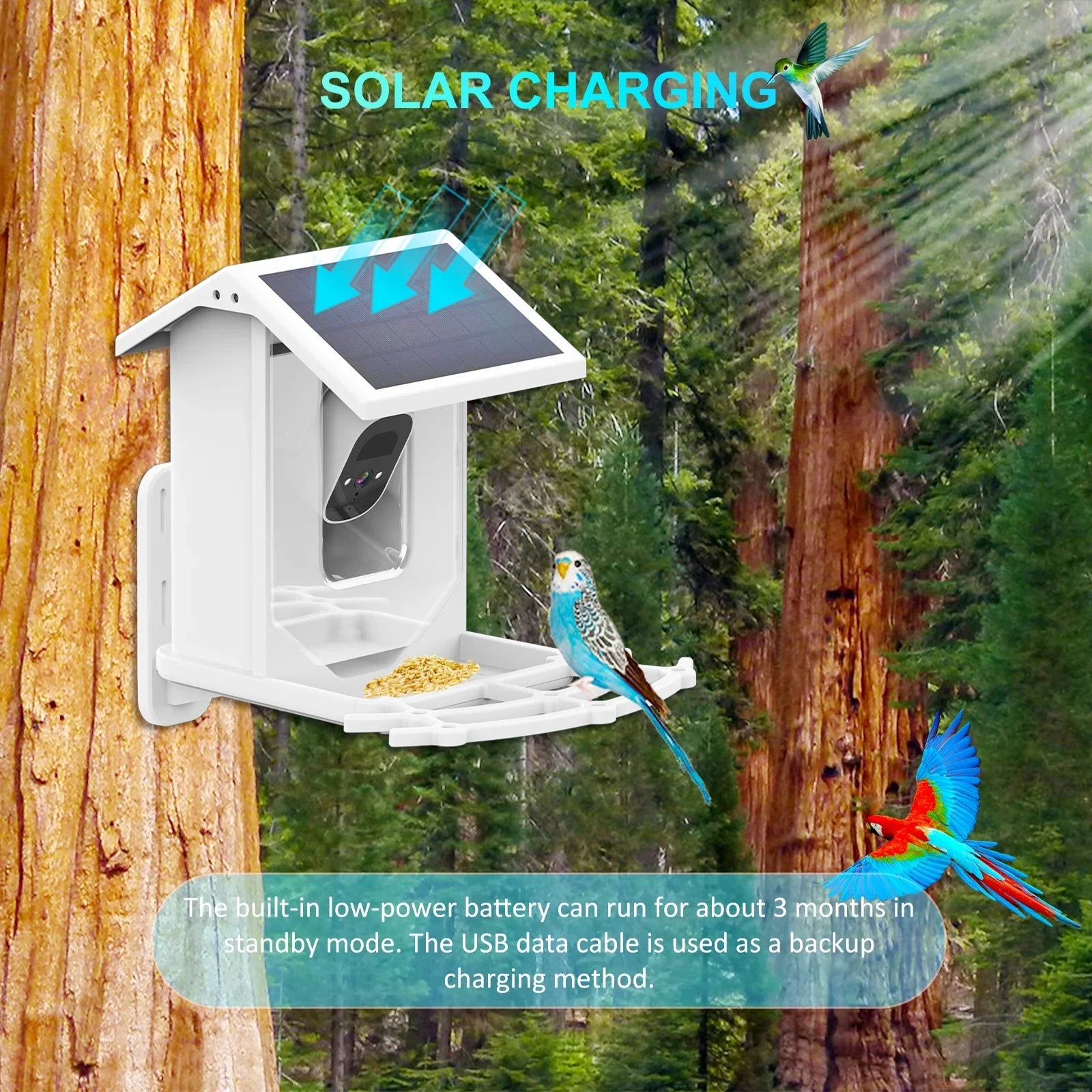 Aibecy Low Solar Bird Camera 1080P Night Vision Camera  Waterproof for Birds and Wildlife