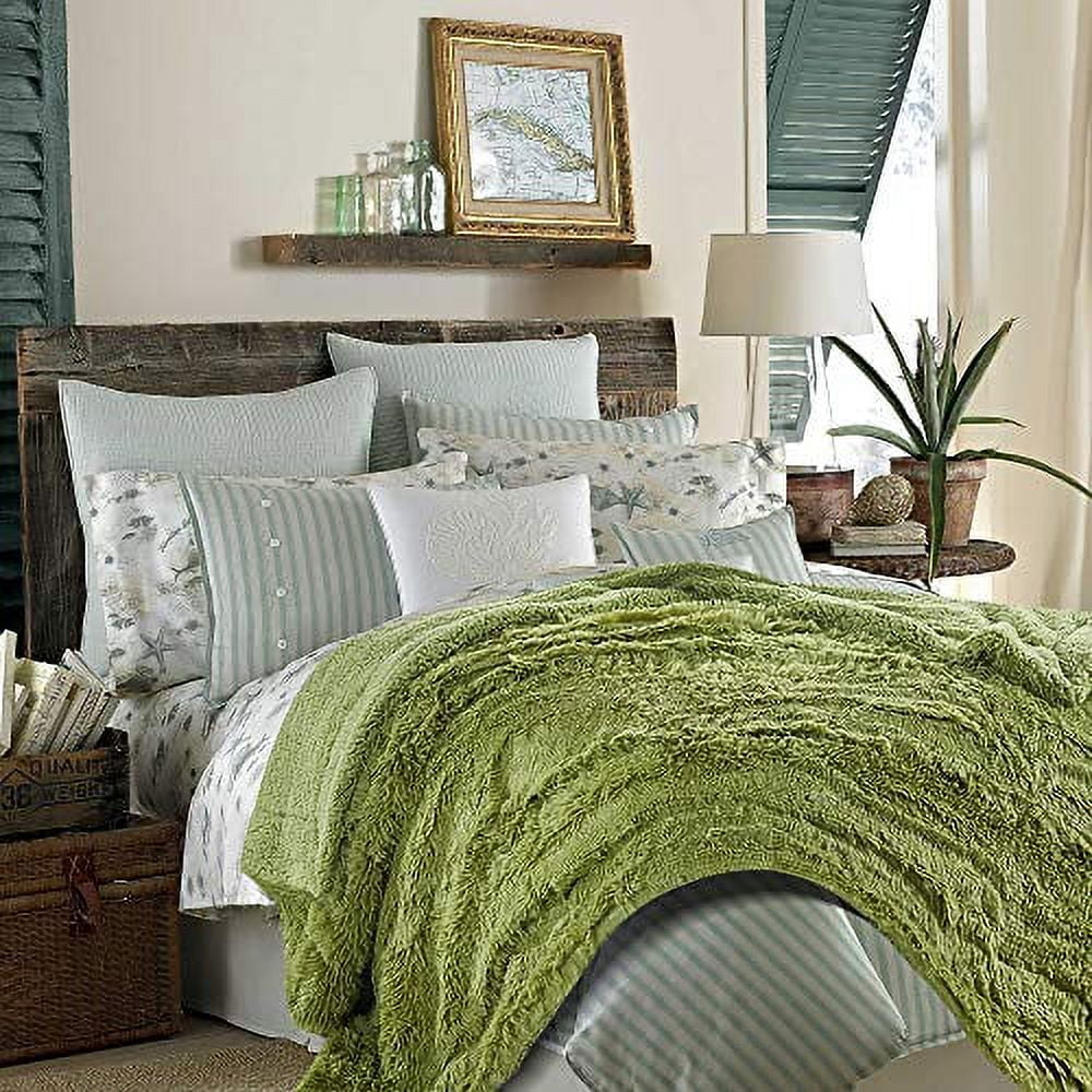 Chanasya Super Soft Shaggy Longfur Throw Blanket | Snuggly Fuzzy Faux Fur Lightweight Warm Elegant Cozy Plush Sherpa Fleece Microfiber Blanket | For Couch Bed Chair Photo Props - 50 "x 65" - Green