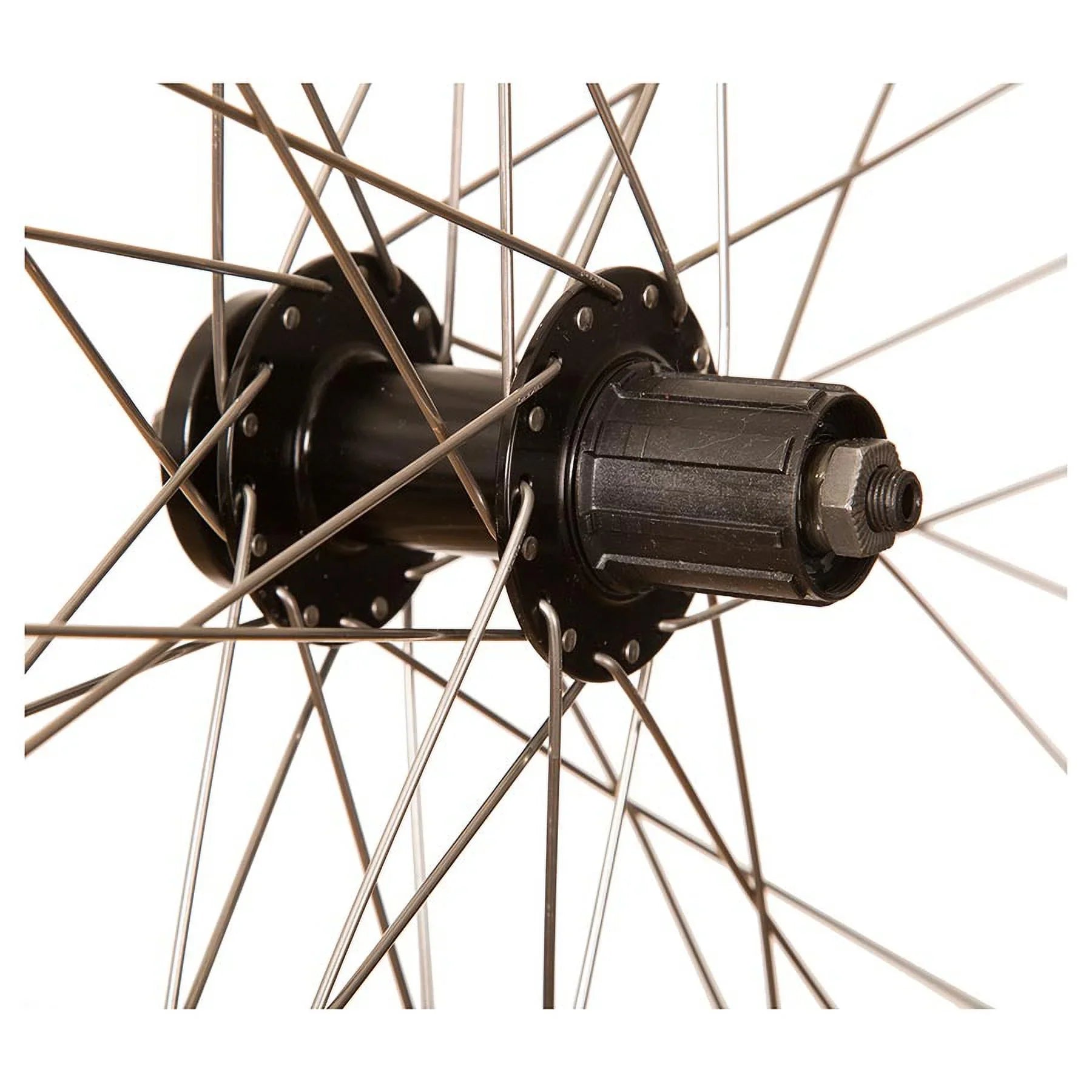 '-26 Wheel Rear 26'' / 559, Holes: 36, , 135mm, Rim and Disc  6-bolt, Shimano