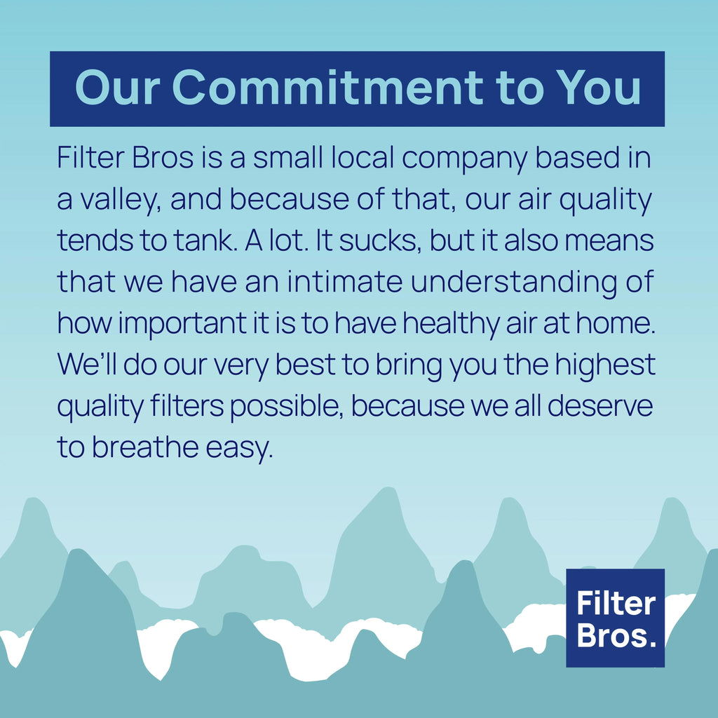 Filter Bros -200 Compatible With  Classic Series 200/300  Replacement Classic Particle Filter For 203, 205, 270E, 280i, Slim