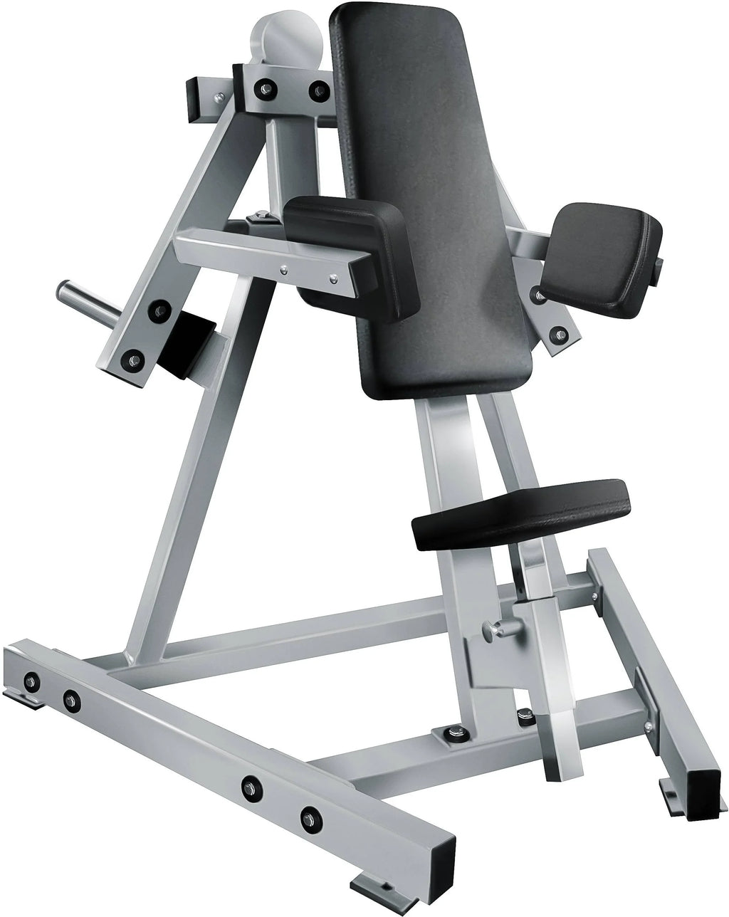 French Fitness Napa / Lateral Raise (New)