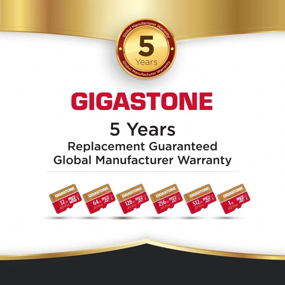 Gigastone 128GB Micro  Card, 4K Video Recording, 4K Camera Pro, suitable with Nintendo Switch, Dash Cam, GoPro Cameras, / up to 100/50 /s, Micro  -   Class 10, 2 Pack (2x128GB)