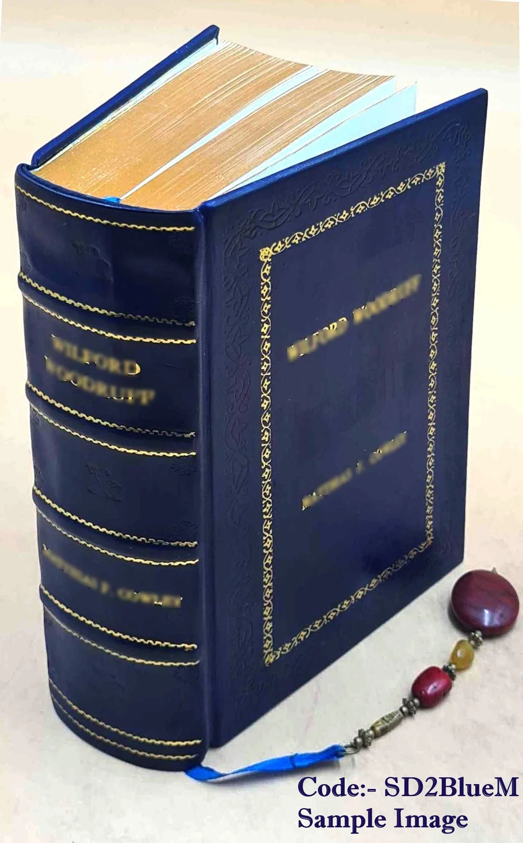 The eastern Alps, including the Bavarian highlands, Tyrol, Salzburg, Upper and Lower Austria, Styria, Carinthia, and Carniola: handbook for travellers 1895 [Premium Leather Bound]