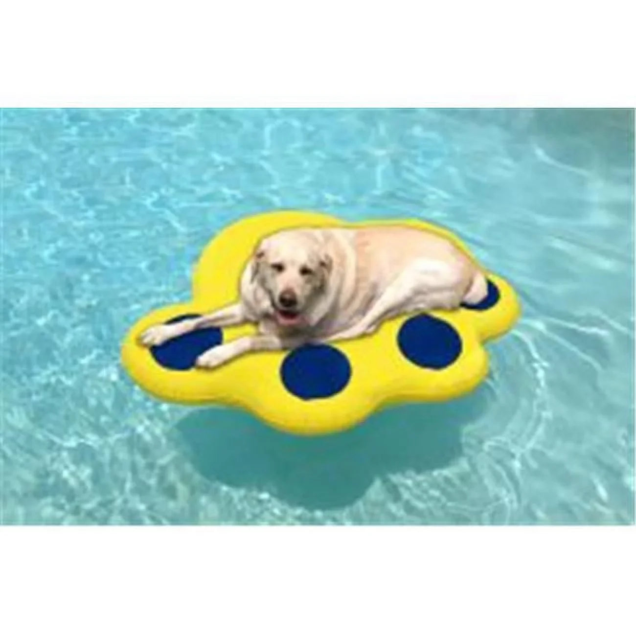 Large Inflatable Raft