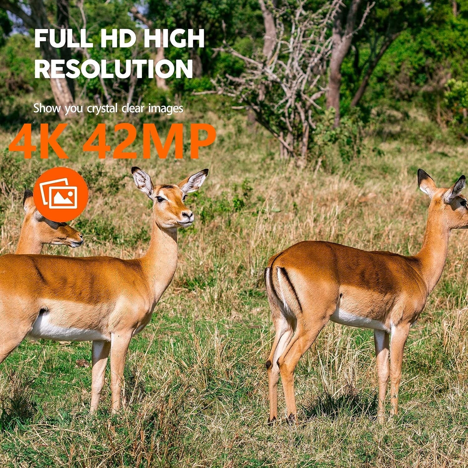 42MP Native 4K 30fps Trail Game Camera WiFi Bluetooth Hunting Deer Camera with Night Vision 3  Sensor Waterproof  Motion Activated 120° Wide Angle Trail Cam for Wildlife Monitoring