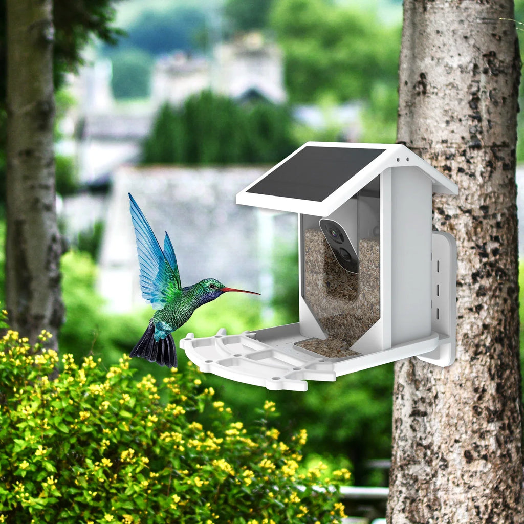 Aibecy Low Solar Bird Camera 1080P Night Vision Camera  Waterproof for Birds and Wildlife