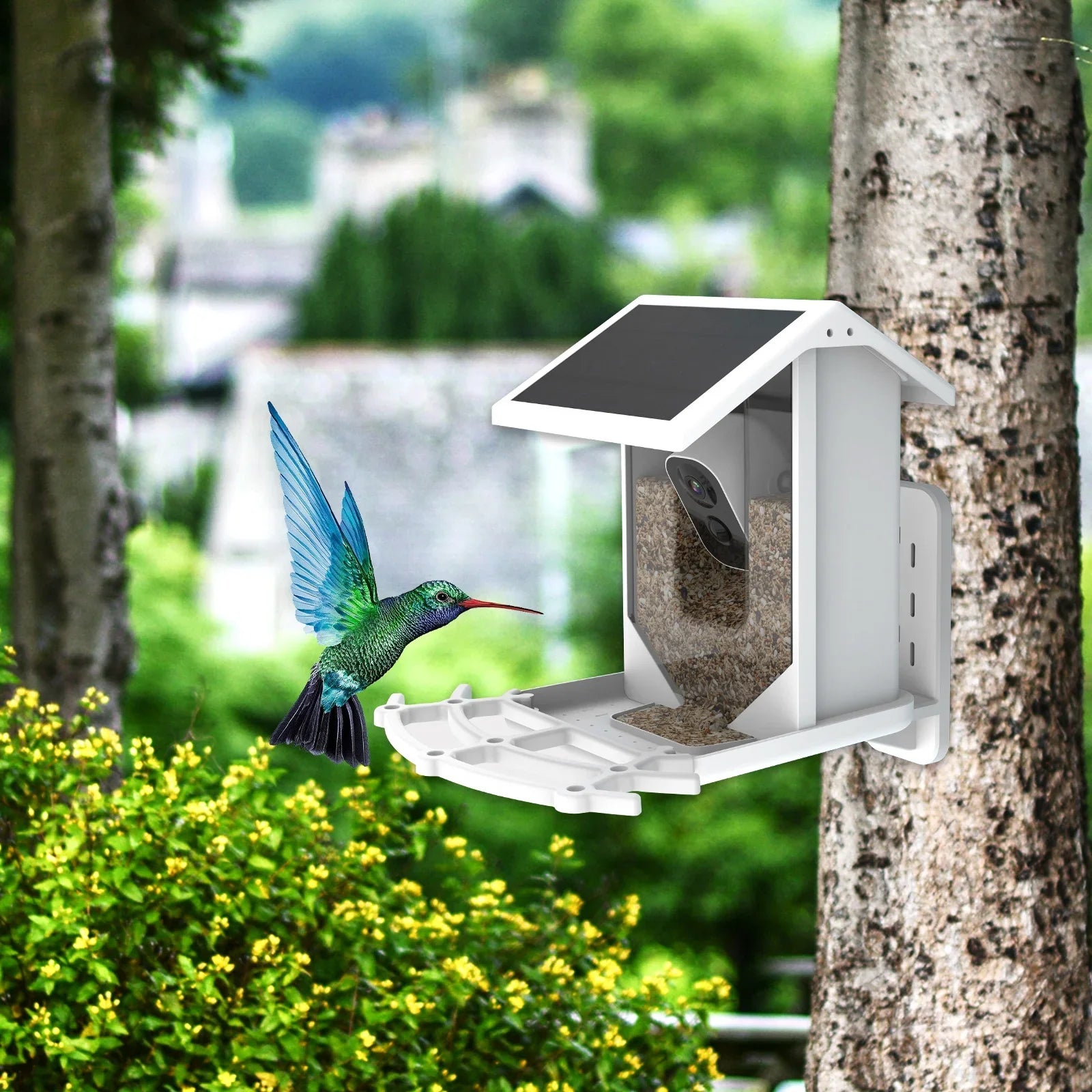 Aibecy Low Solar Bird Camera 1080P Night Vision Camera  Waterproof for Birds and Wildlife