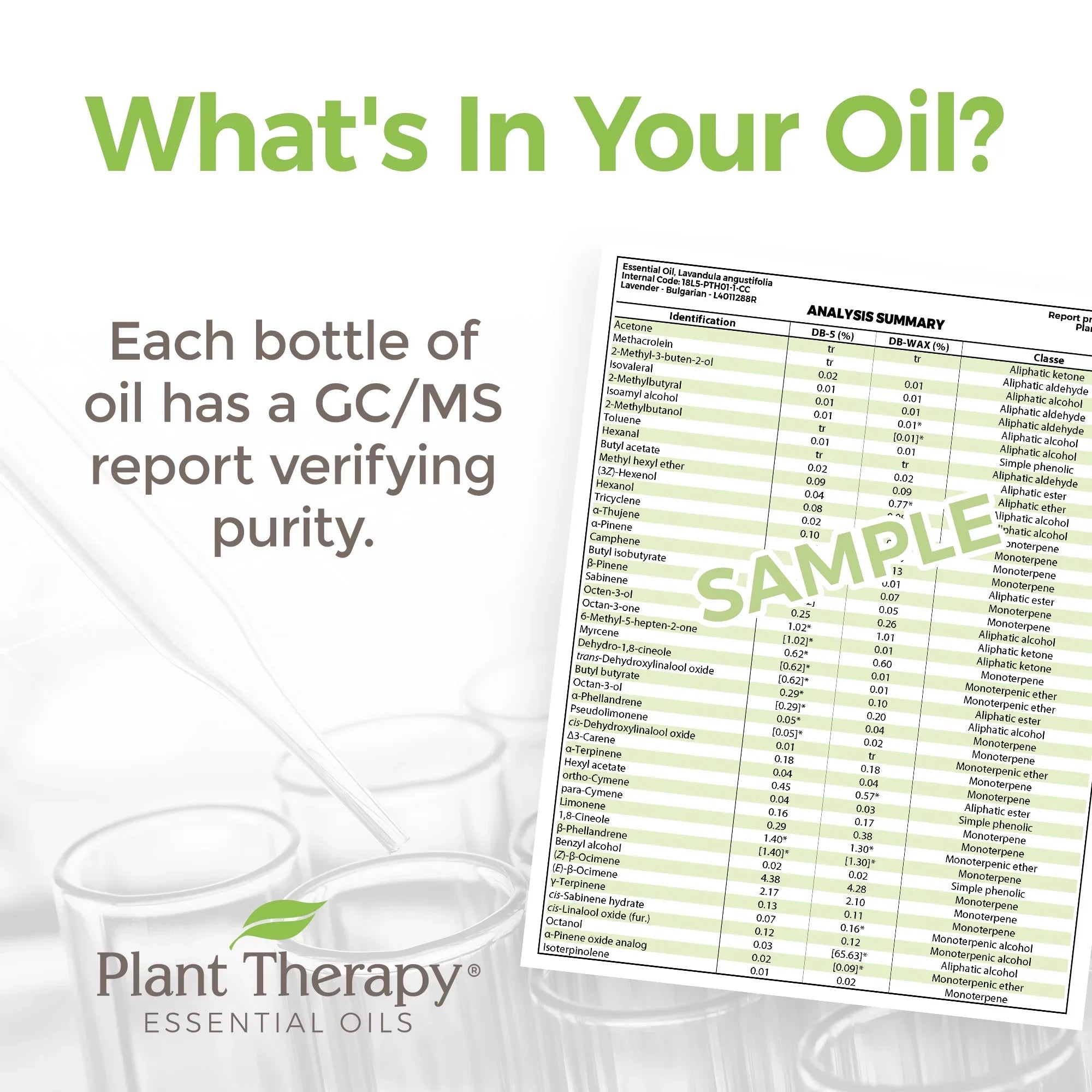 Plant Therapy Sea Fennel Essential Oil 5 mL (1/6 oz) 100% Pure, Undiluted, Therapeutic Grade