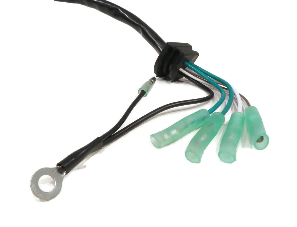 The  Shop | Magneto Stator For 1993 Yamaha Waverunner WRB650R_61, , ,