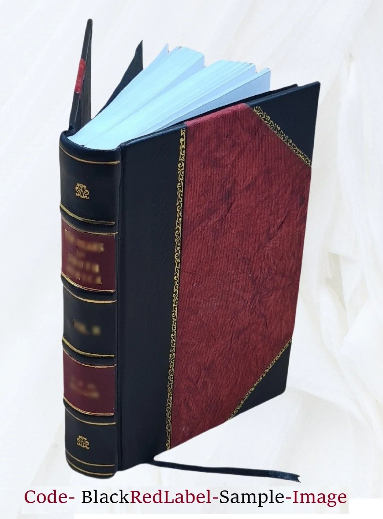La santé des mères et des enfants / par le docteur Jules Massé 1855 [Leather Bound]