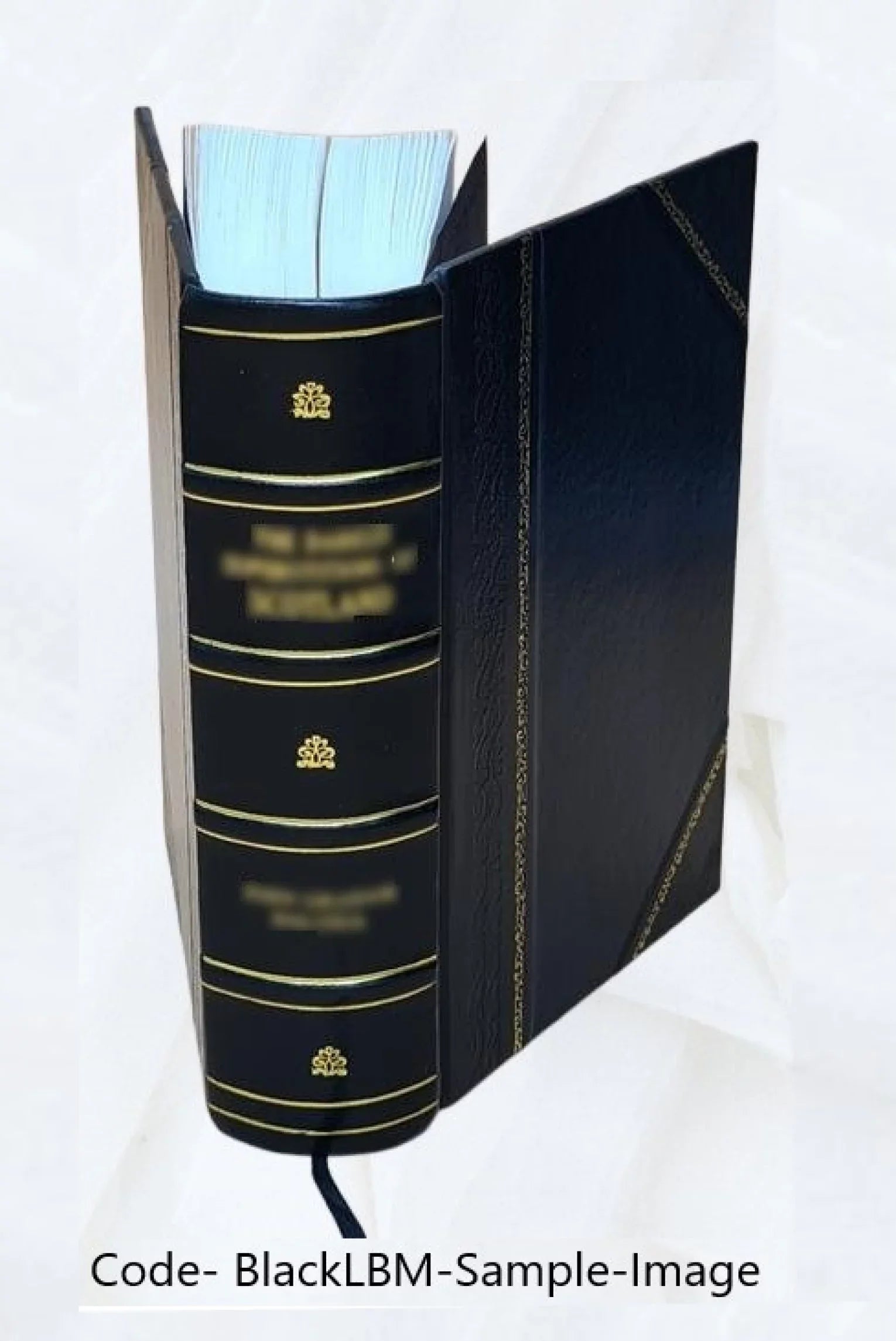 County business patterns / compiled by the Bureau of Old-Age and Survivors Insurance of the Social Security Administration, Federal Security Agency. Volume 1973:pt. 1-7 1973 [Leath