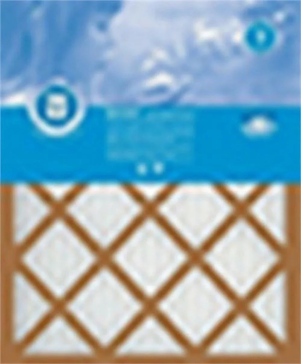 True Blue Basic Air Filter  7- 14x20x1