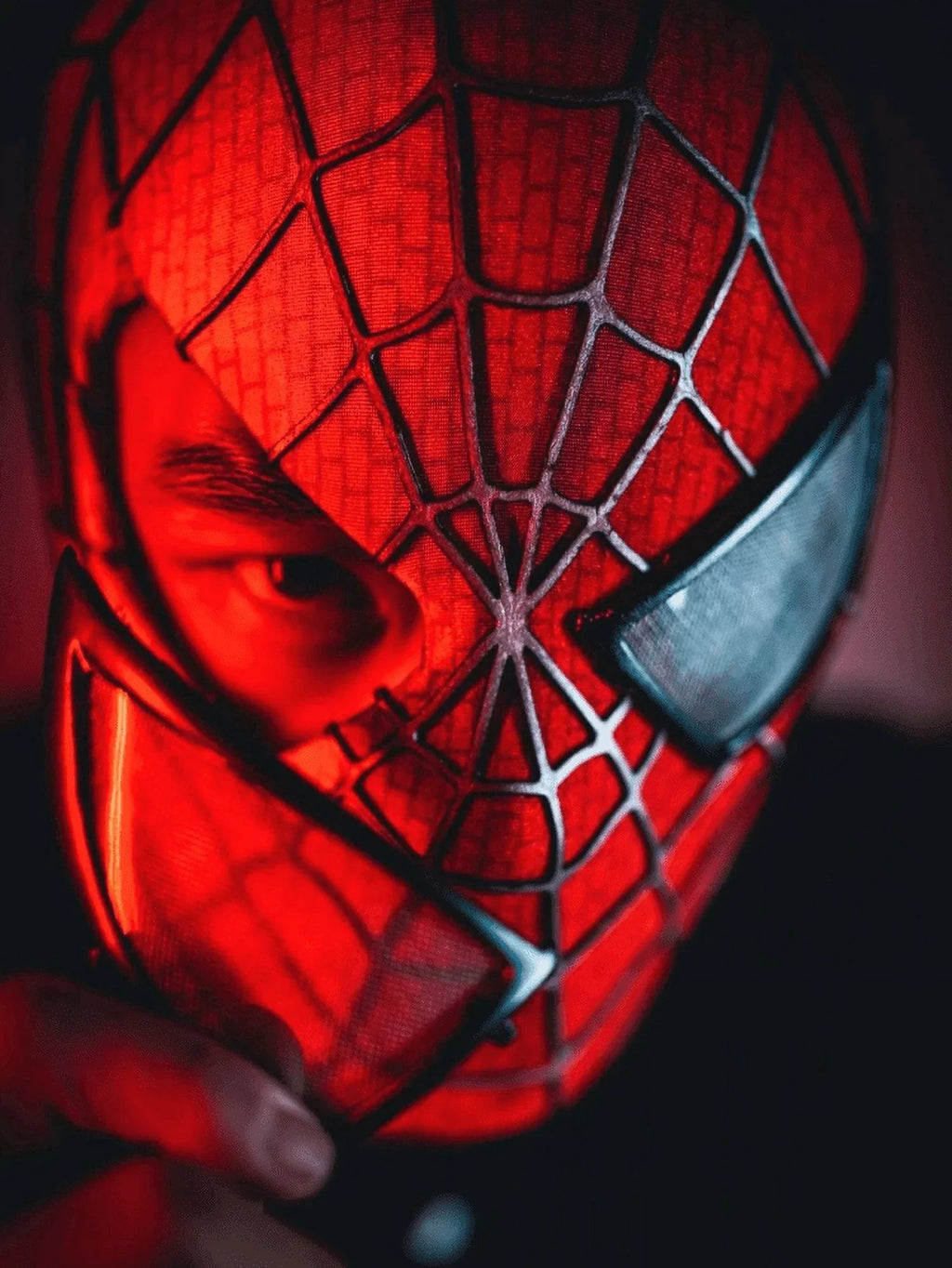 Spider Mask 1:1 Wearable Spider Full Mask with Faceshell 3D Webbing Cosplay Costume, Collectible Action Figure Gift for Adults, Kids